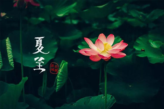 夏至|愿所有期許，如約而至
